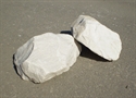 Picture of Λευκή Μαρμαρόπετρα